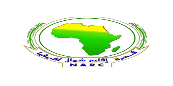 ليبيا | اجتماع تنسيقي للمشاركين في التمرين الميداني تحت اسم (سلام إفريقيا 3) لقدرة إقليم شمال إفريقيا   .(NARC)