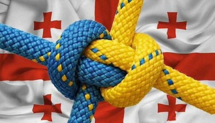 حلف الناتو | يقرر قبول أوكرانيا وجورجيا كعضوين جديدين ويمنحهما العضوية الكاملة ضمن دول الحلف.